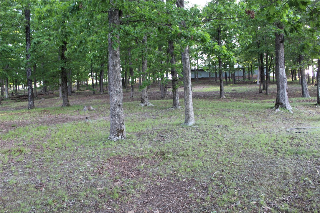 158 Ragon Road Tilly, AR 72679 - Photo 50 of 51 Wooded lot featuring mature trees and a grassy understory