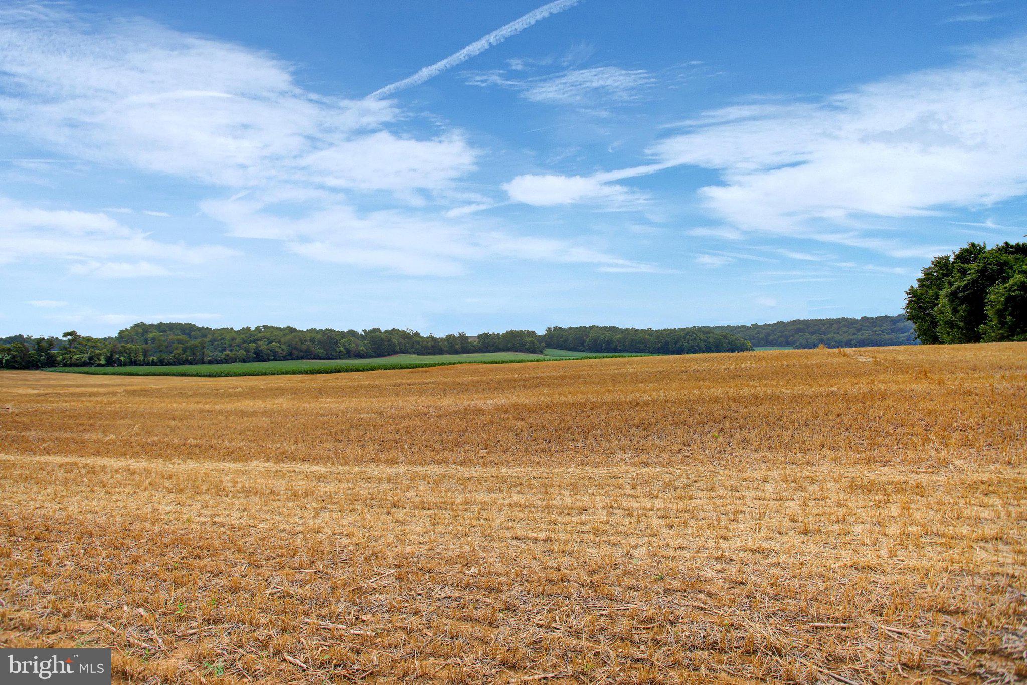 3560 Ritner Highway Newville, PA 17241 - Photo 64 of 76 View of farm behind house