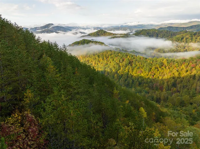 $484,000 | 0 Renfro Rd Green Mountain, Green Mountain, NC 28740