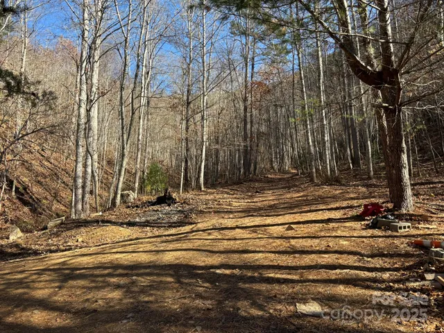 $484,000 | 0 Renfro Rd Green Mountain, Green Mountain, NC 28740