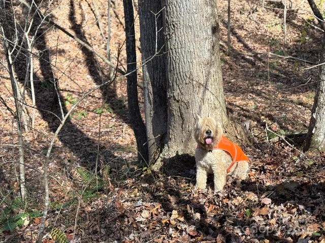 $484,000 | 0 Renfro Rd Green Mountain, Green Mountain, NC 28740