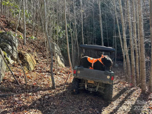 $484,000 | 0 Renfro Rd Green Mountain, Green Mountain, NC 28740