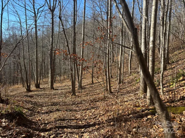 $484,000 | 0 Renfro Rd Green Mountain, Green Mountain, NC 28740