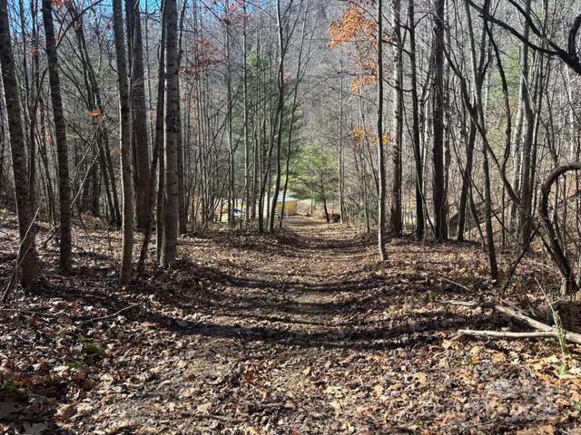 $484,000 | 0 Renfro Rd Green Mountain, Green Mountain, NC 28740