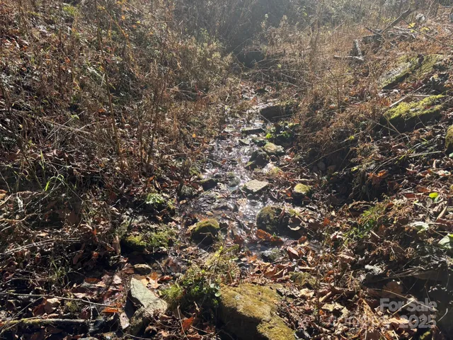 $484,000 | 0 Renfro Rd Green Mountain, Green Mountain, NC 28740