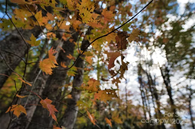 $484,000 | 0 Renfro Rd Green Mountain, Green Mountain, NC 28740