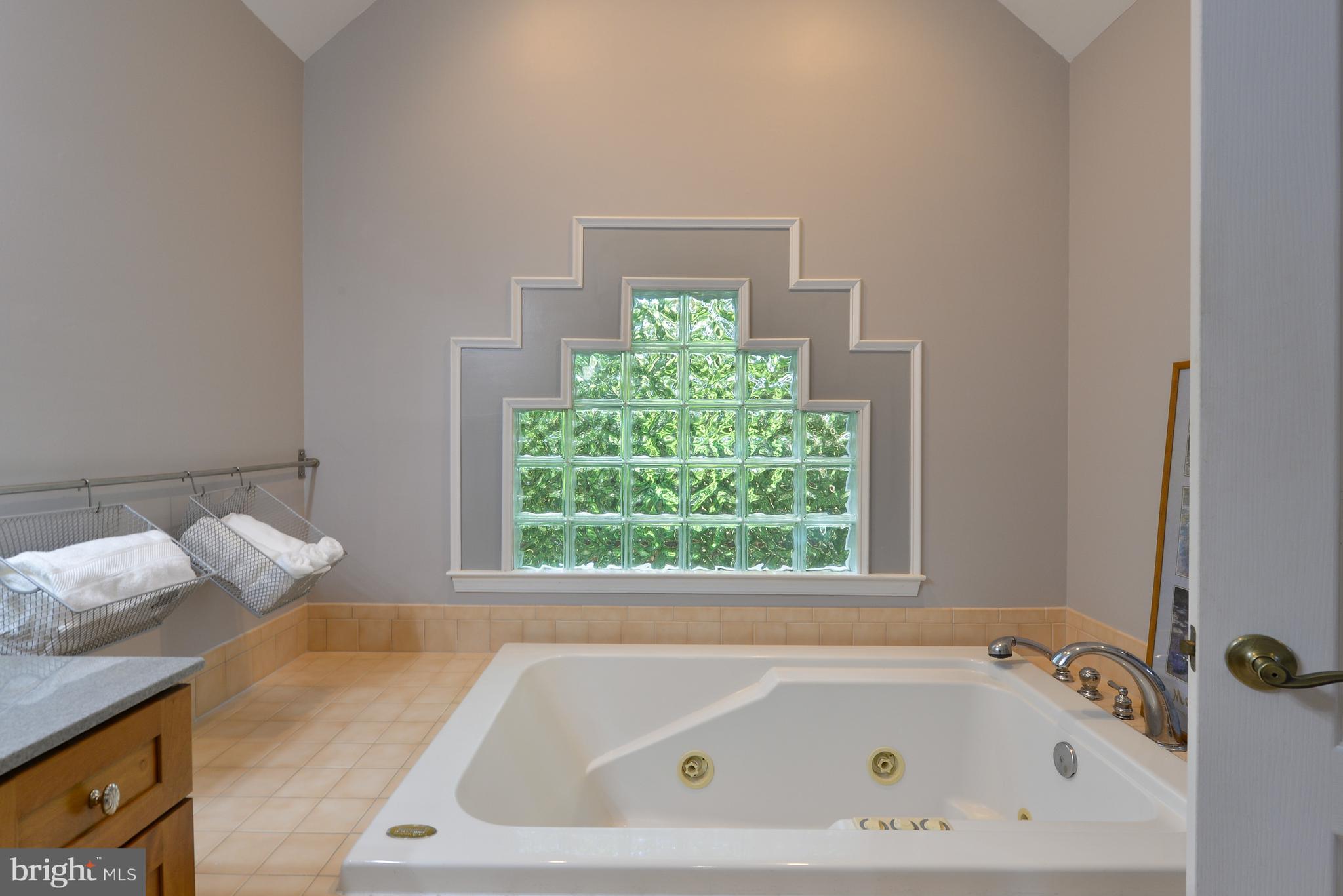 1155 Shady Beach Road Elkton, MD 21921 - Photo 14 of 35 Jacuzzi 2 person tub, glass block window