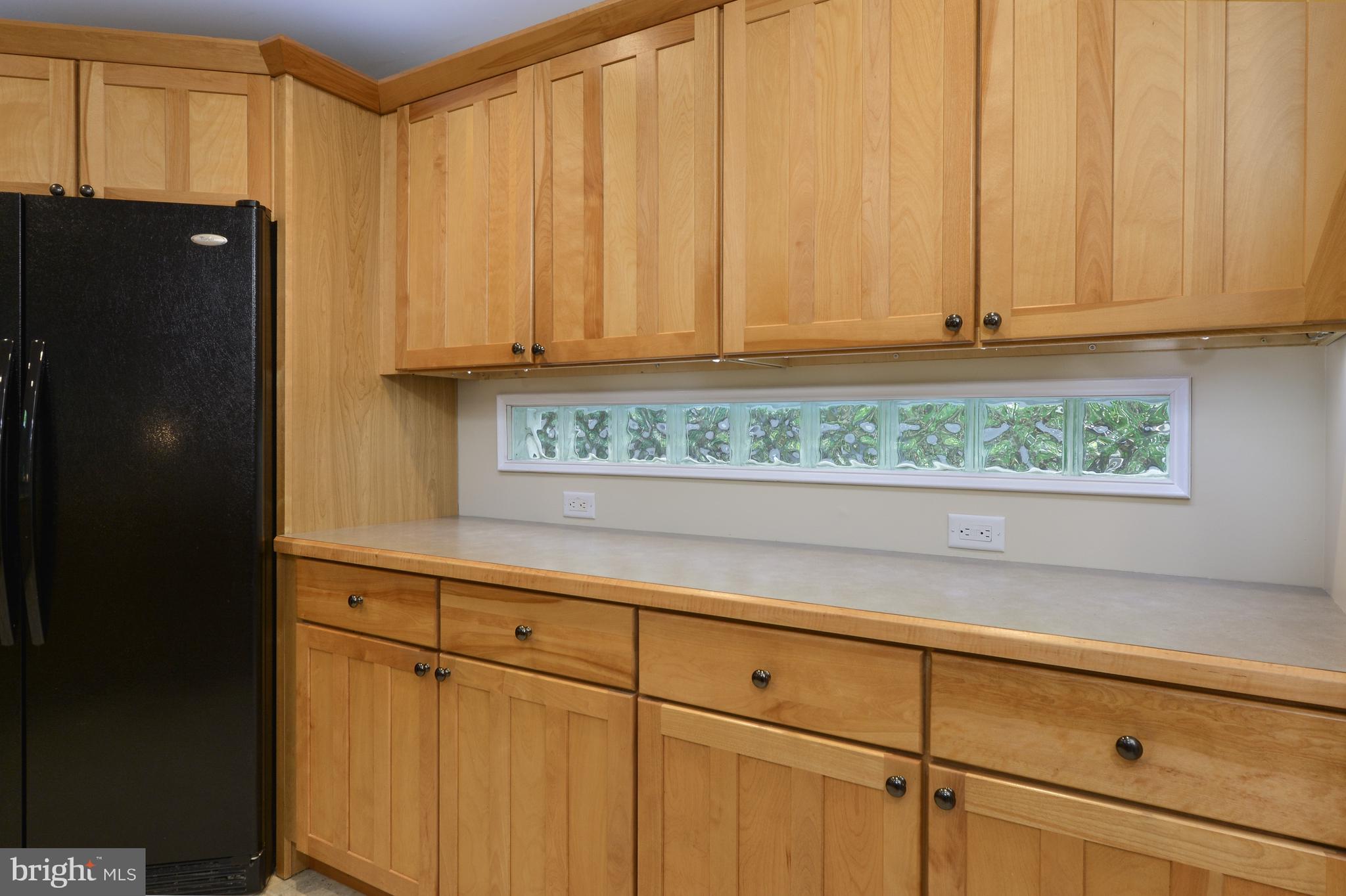 1155 Shady Beach Road Elkton, MD 21921 - Photo 5 of 35 Glass block inserts provide lots of light