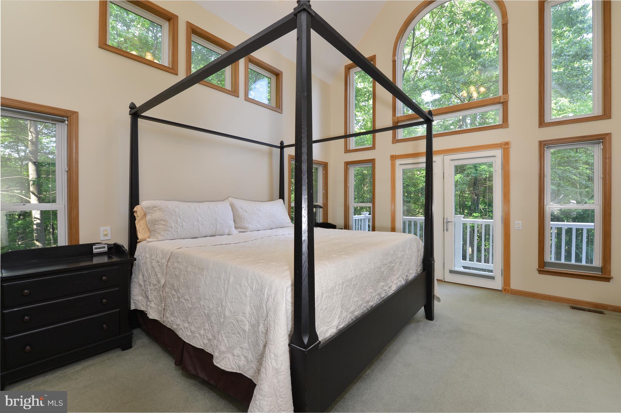 1155 Shady Beach Road Elkton, MD 21921 - Photo 10 of 35 Main floor Master 16x14; incredible night sky view