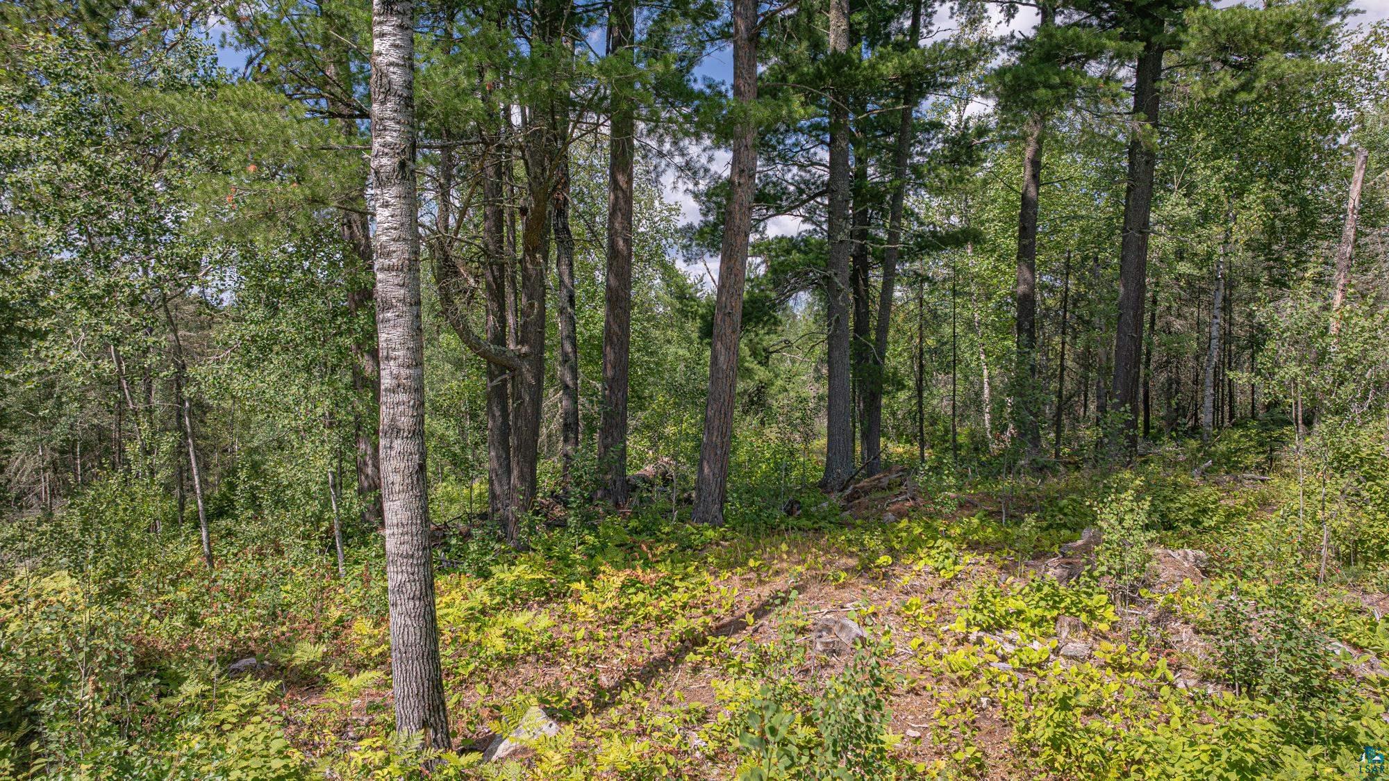 1583 Jewel Ridge Road Ely, MN 55731 - Photo 56 of 94 Gallery Image 56
