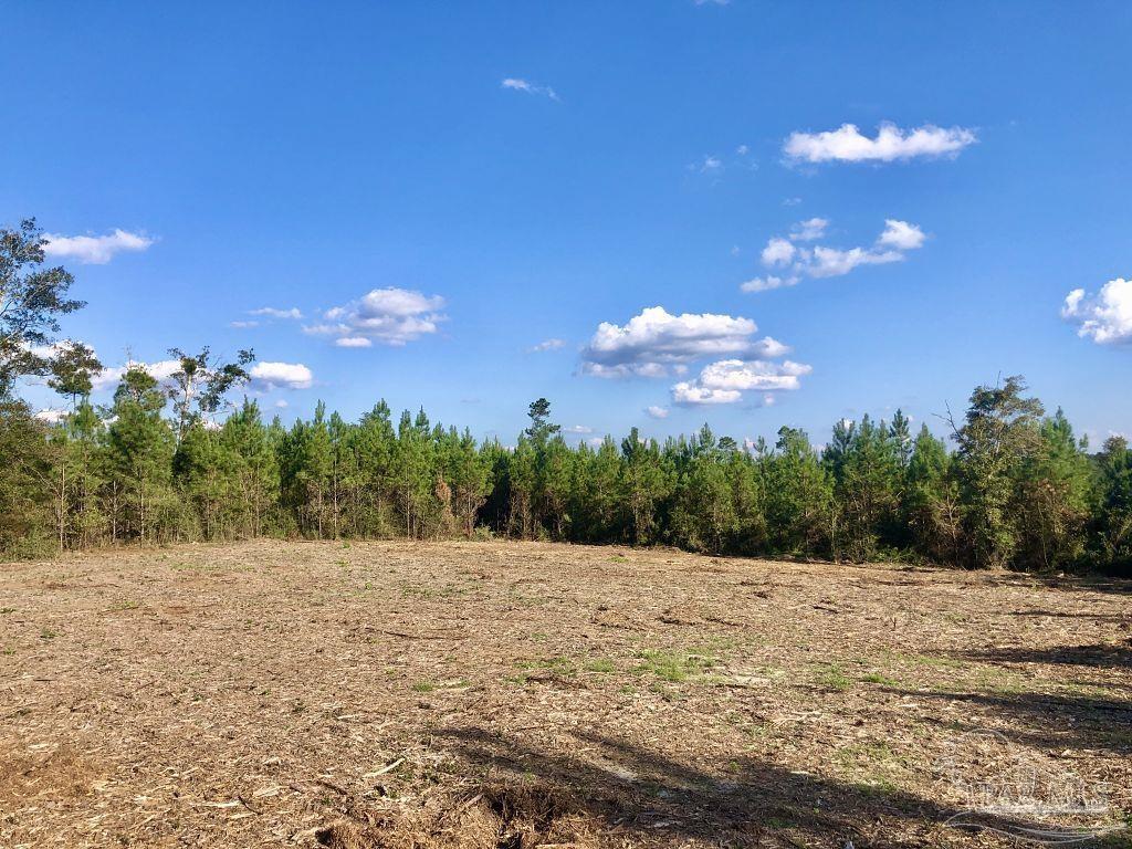 Lot 16-bs Buffalo Ridge Road Milton, FL 32571 - Photo 7 of 14