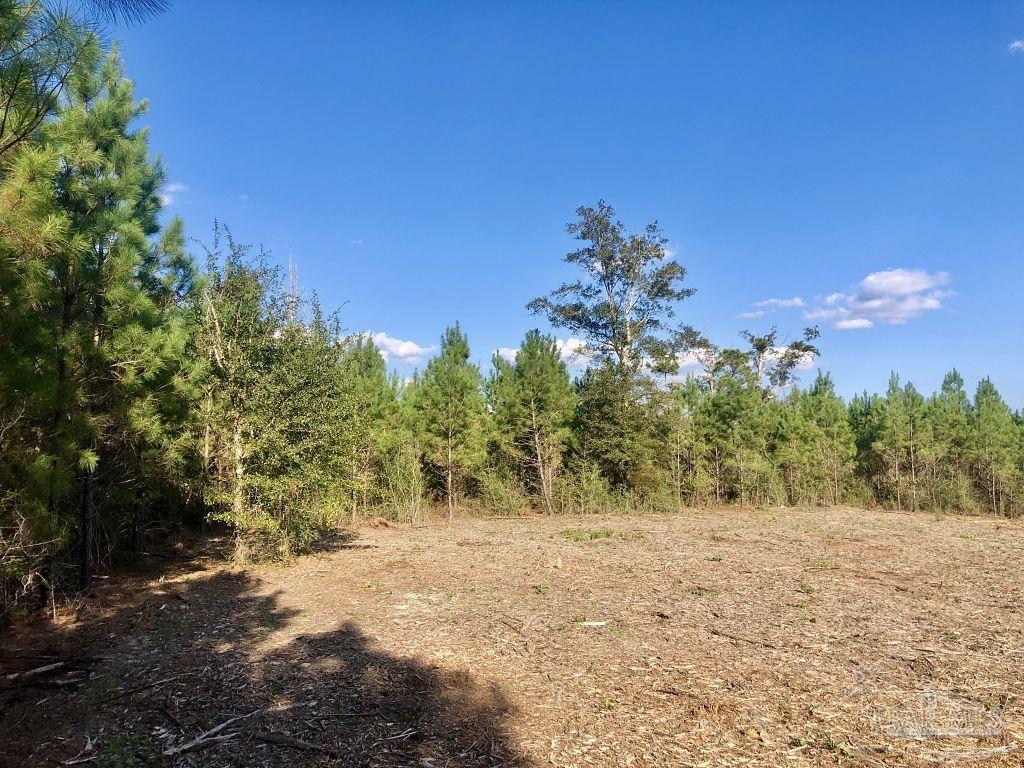 Lot 16-bs Buffalo Ridge Road Milton, FL 32571 - Photo 8 of 14