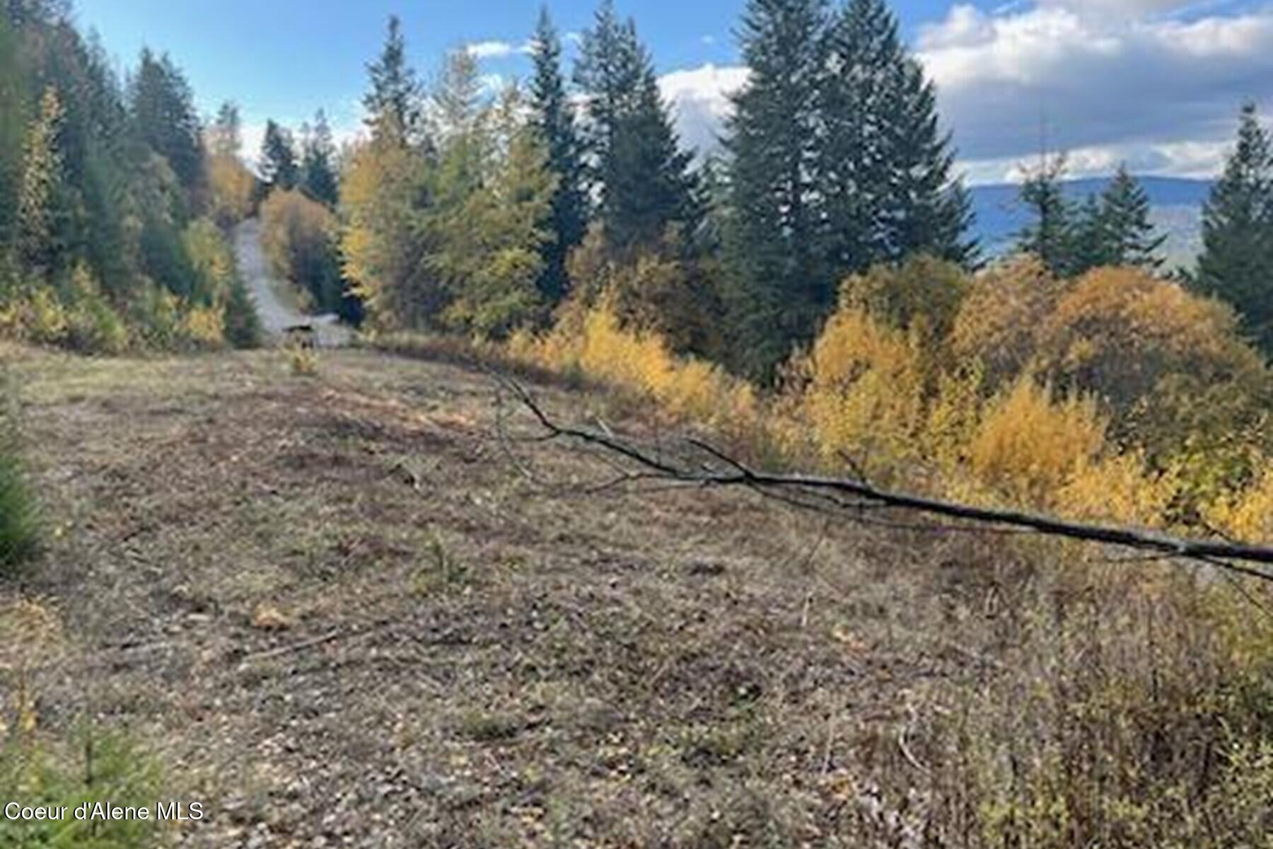 Lot 2 Forever View Road Sagle, ID 83860 - Photo 18 of 40 Build Site - Cleared and Cleaned
