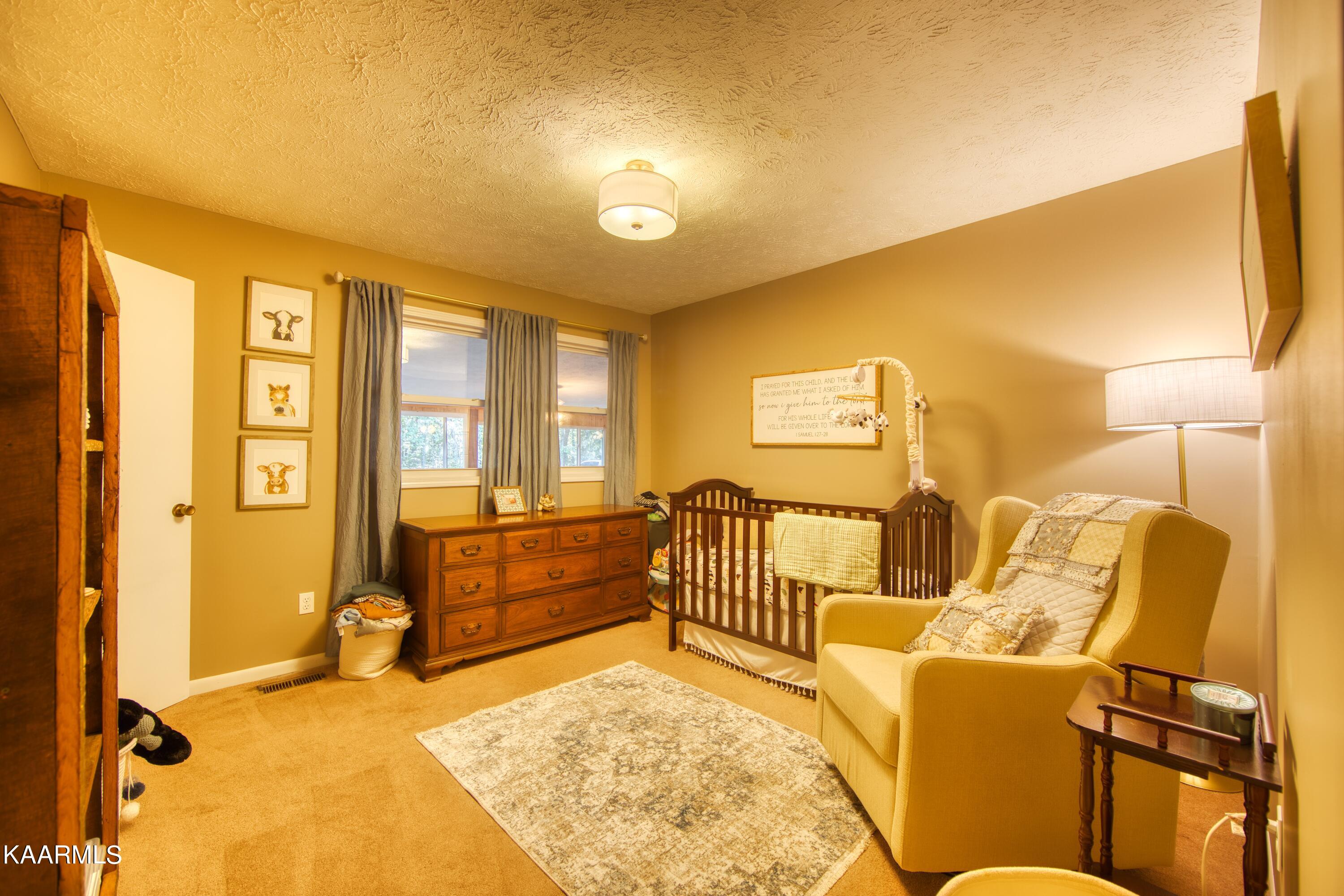 1205 Model Farm Road Jamestown, TN 38556 - Photo 17 of 23 EK3A2709