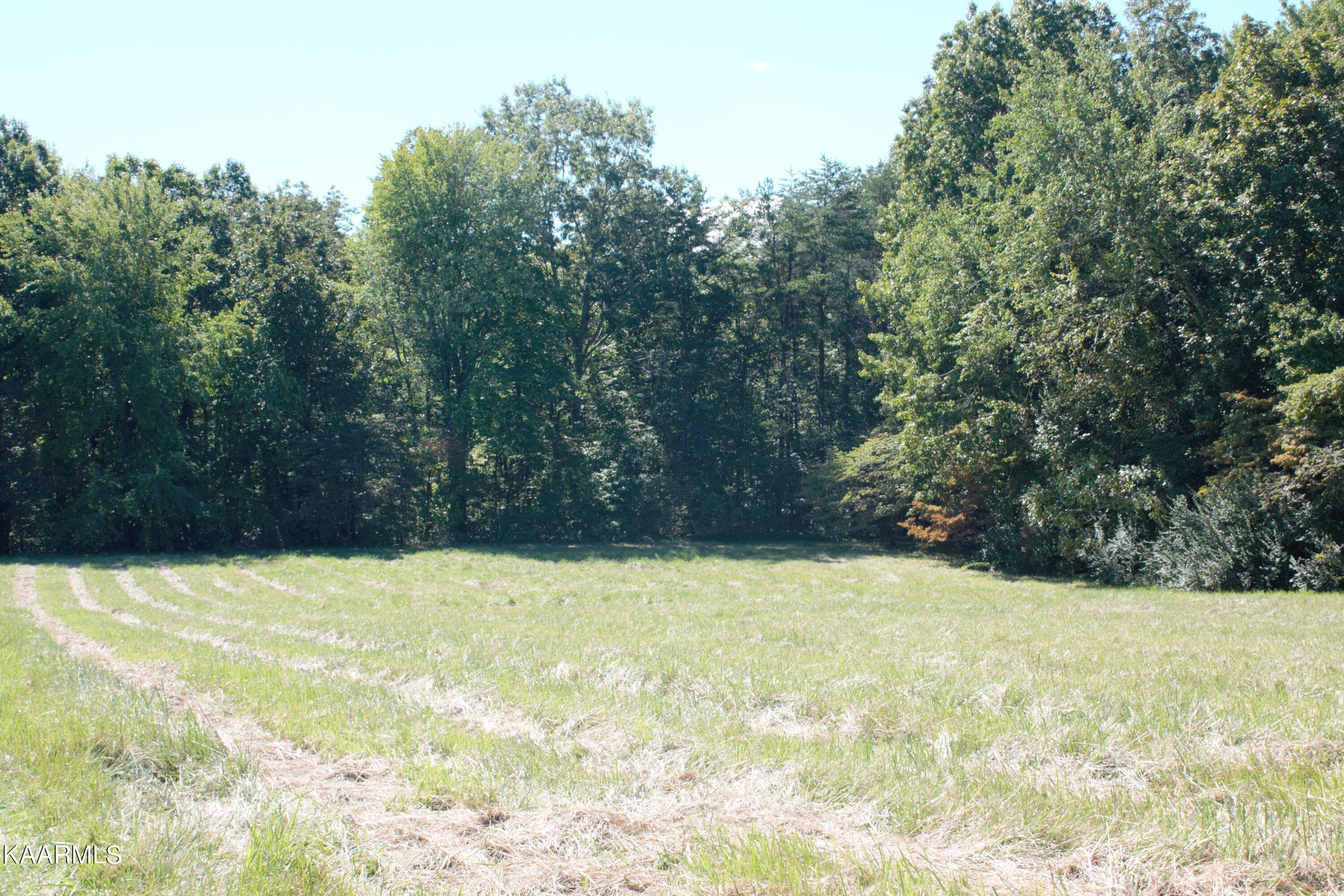 1205 Model Farm Road Jamestown, TN 38556 - Photo 23 of 23 IMG_6693 (1)