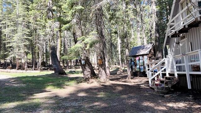 1340 Gooseberry Road Strawberry Valley, CA 95981 - Photo 2 of 13 a view of a park with large trees