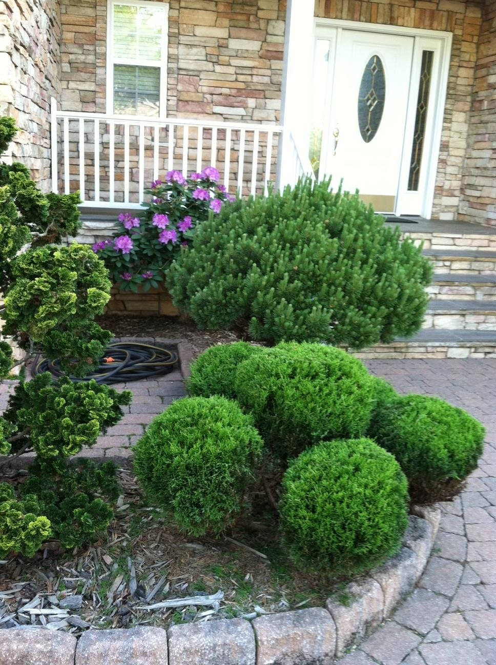100 Mickleson Ridge Drive Raleigh, NC 27603 - Photo 49 of 59 Landscaping