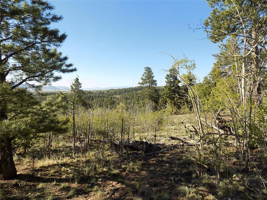 187 Osprey Road Como, CO 80432 - Photo 2 of 20 a view of a bunch of trees