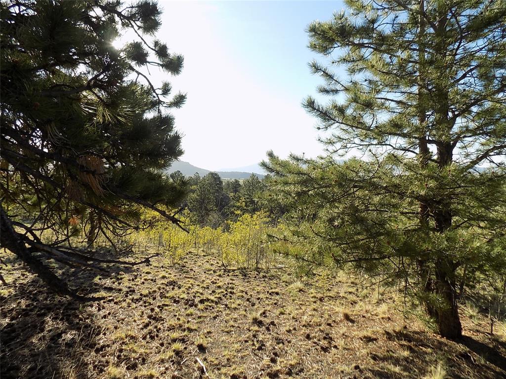 187 Osprey Road Como, CO 80432 - Photo 5 of 20 a view of a yard