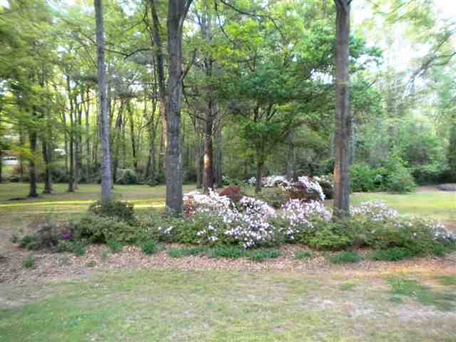 117 Vineyard Road Clemson, SC 29631 - Photo 11 of 13