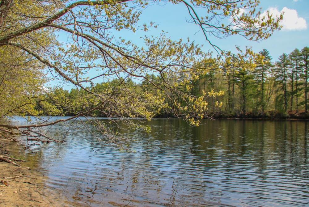 461 River Road Hollis Center, ME 04042 - Photo 16 of 19 Photo