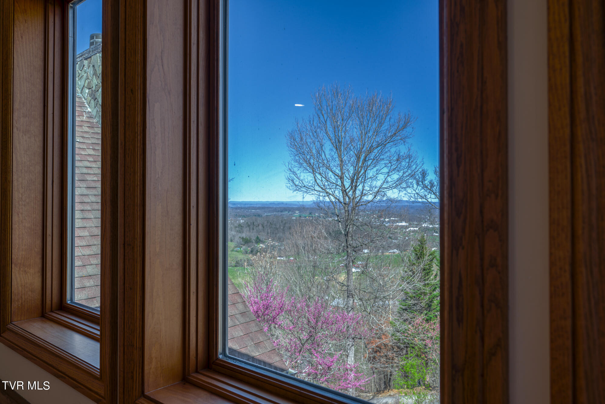 207 Buffalo Ridge Road Gray, TN 37615 - Photo 24 of 60 DSC_9550-NEF_28 copy