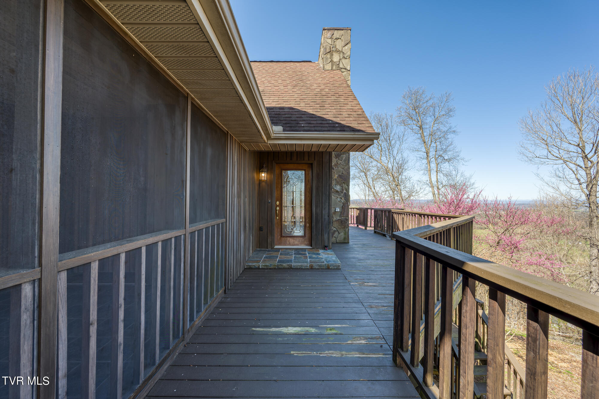 207 Buffalo Ridge Road Gray, TN 37615 - Photo 32 of 60 DSC_9591-NEF_36
