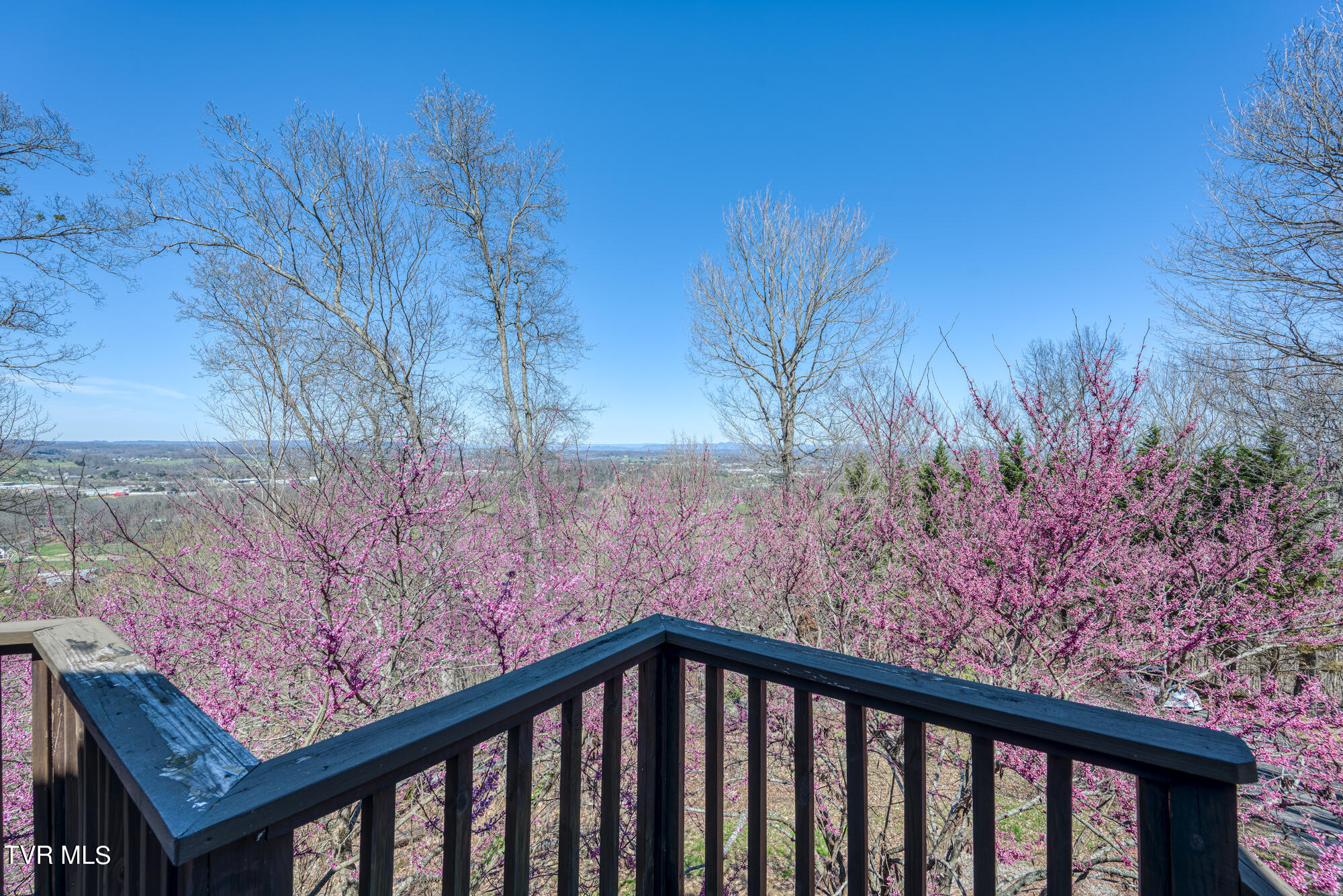 207 Buffalo Ridge Road Gray, TN 37615 - Photo 33 of 60 DSC_9600-NEF_38