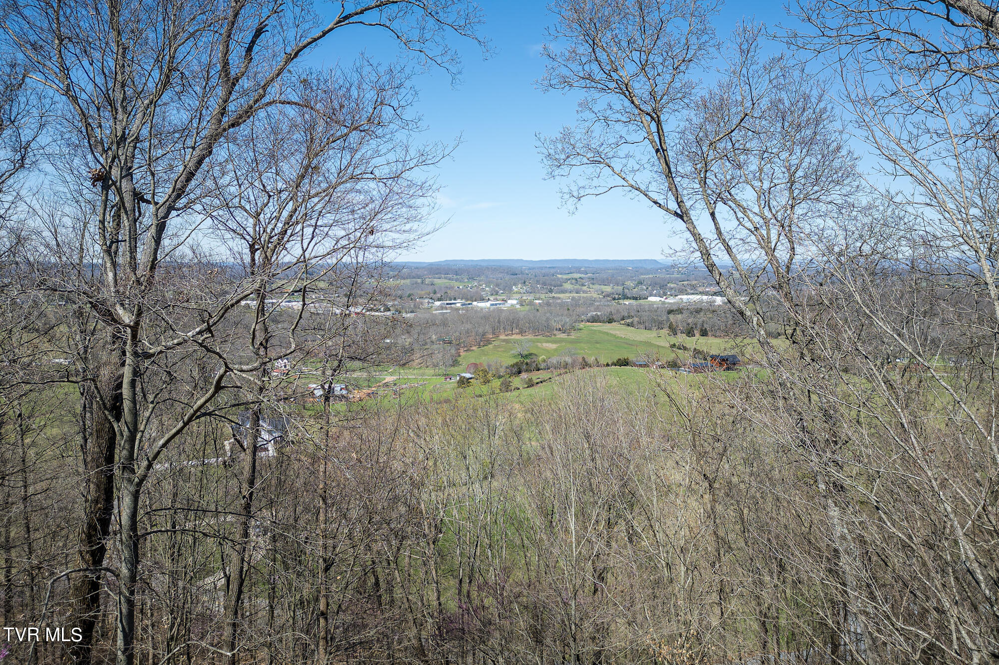 207 Buffalo Ridge Road Gray, TN 37615 - Photo 44 of 60 DJI_0388-DNG