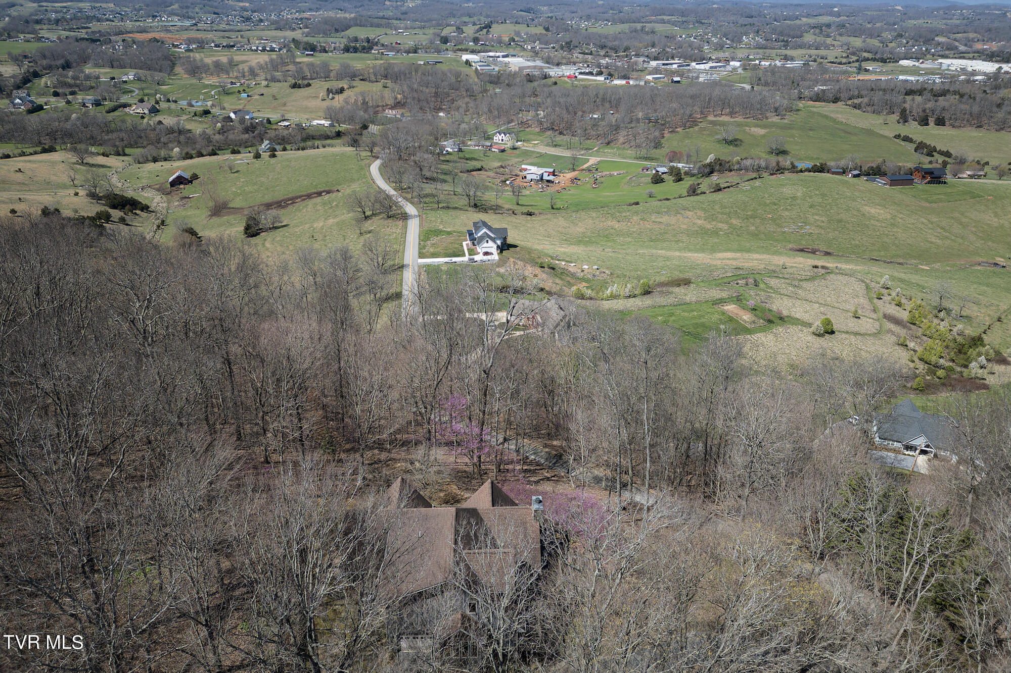 207 Buffalo Ridge Road Gray, TN 37615 - Photo 45 of 60 DJI_0396-DNG