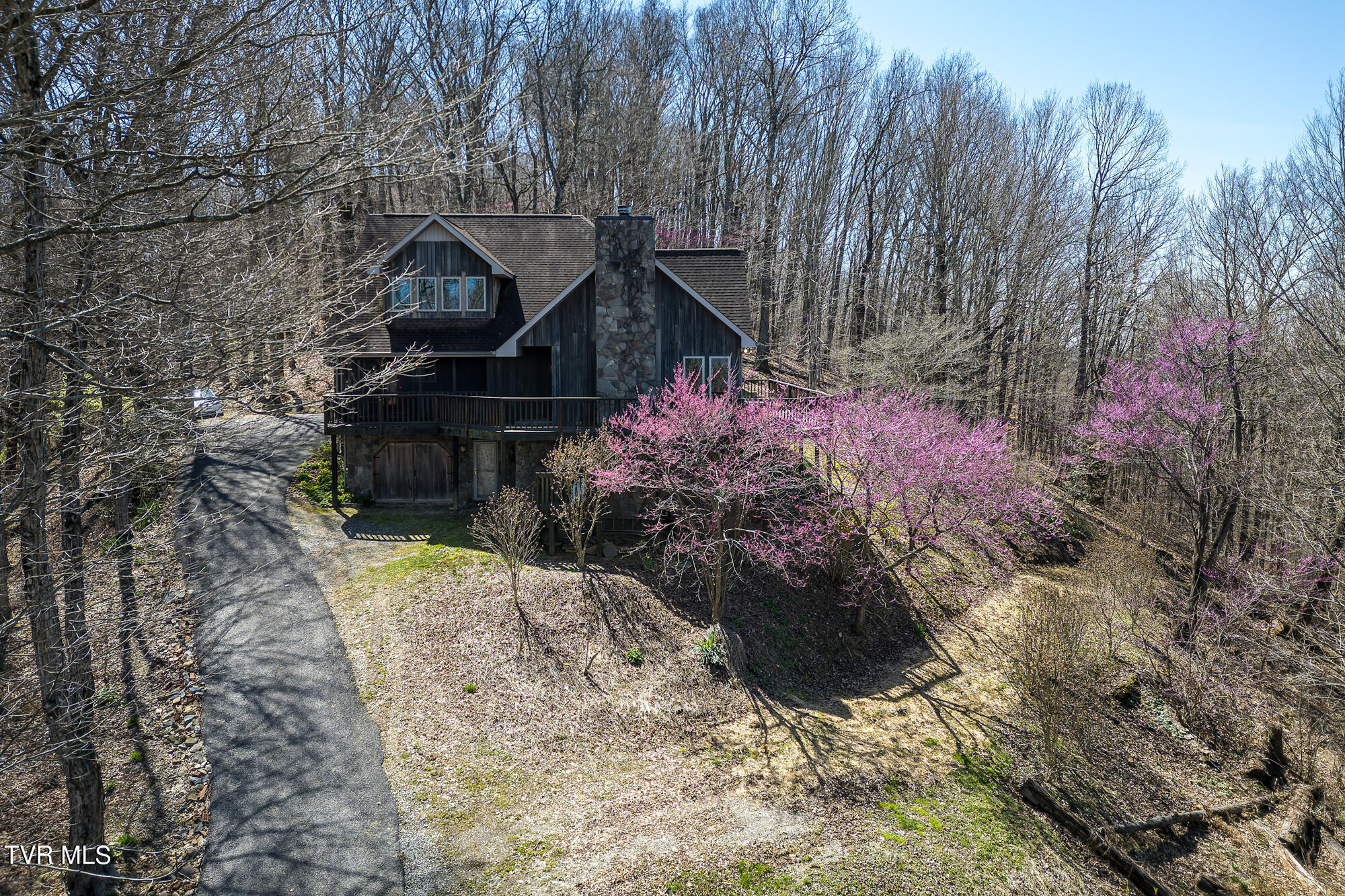 207 Buffalo Ridge Road Gray, TN 37615 - Photo 46 of 60 DJI_0399-DNG