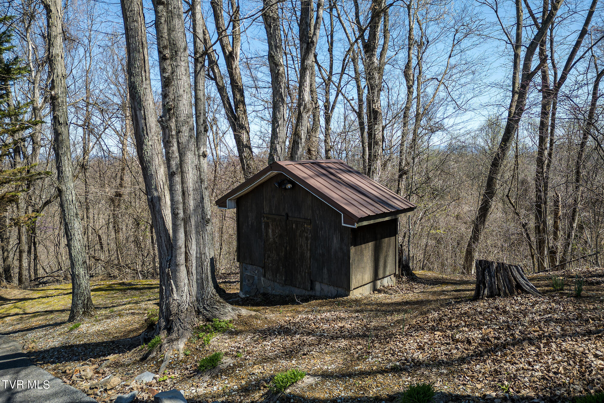 207 Buffalo Ridge Road Gray, TN 37615 - Photo 48 of 60 DJI_0403-DNG