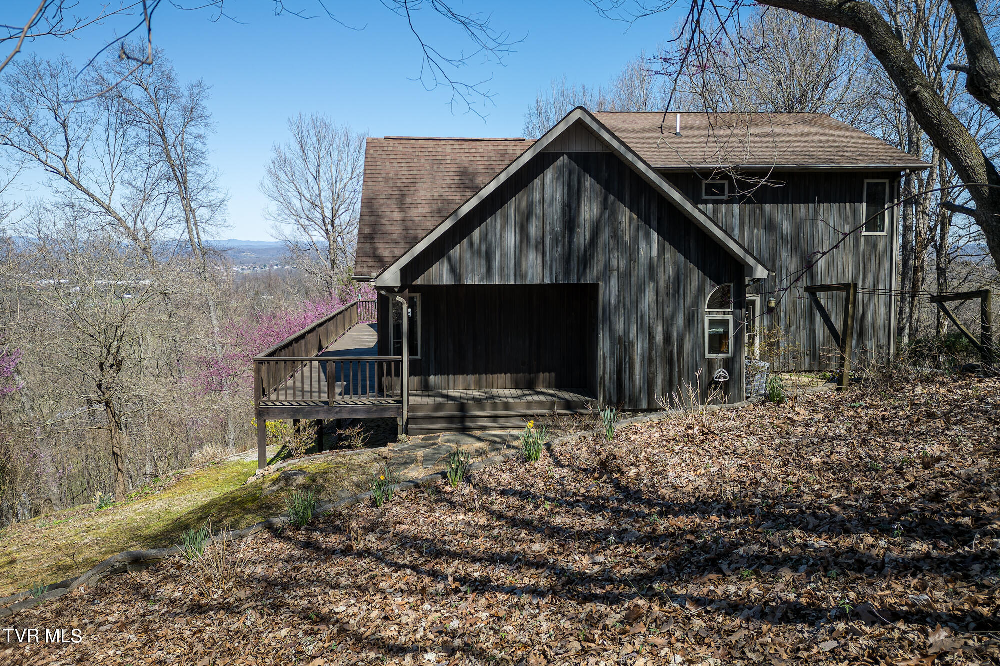207 Buffalo Ridge Road Gray, TN 37615 - Photo 50 of 60 DJI_0406-DNG