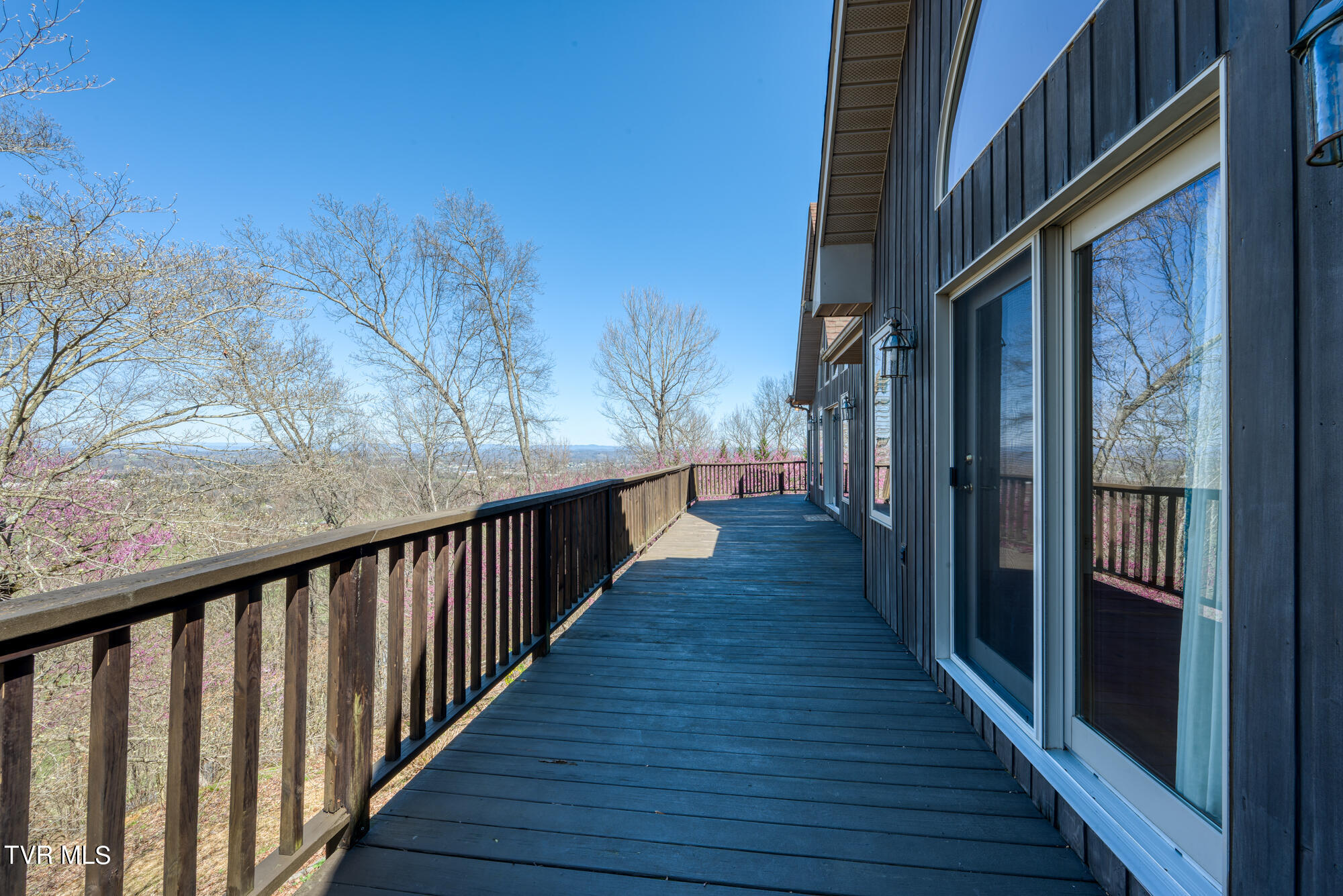 207 Buffalo Ridge Road Gray, TN 37615 - Photo 54 of 60 DSC_9438-NEF_5