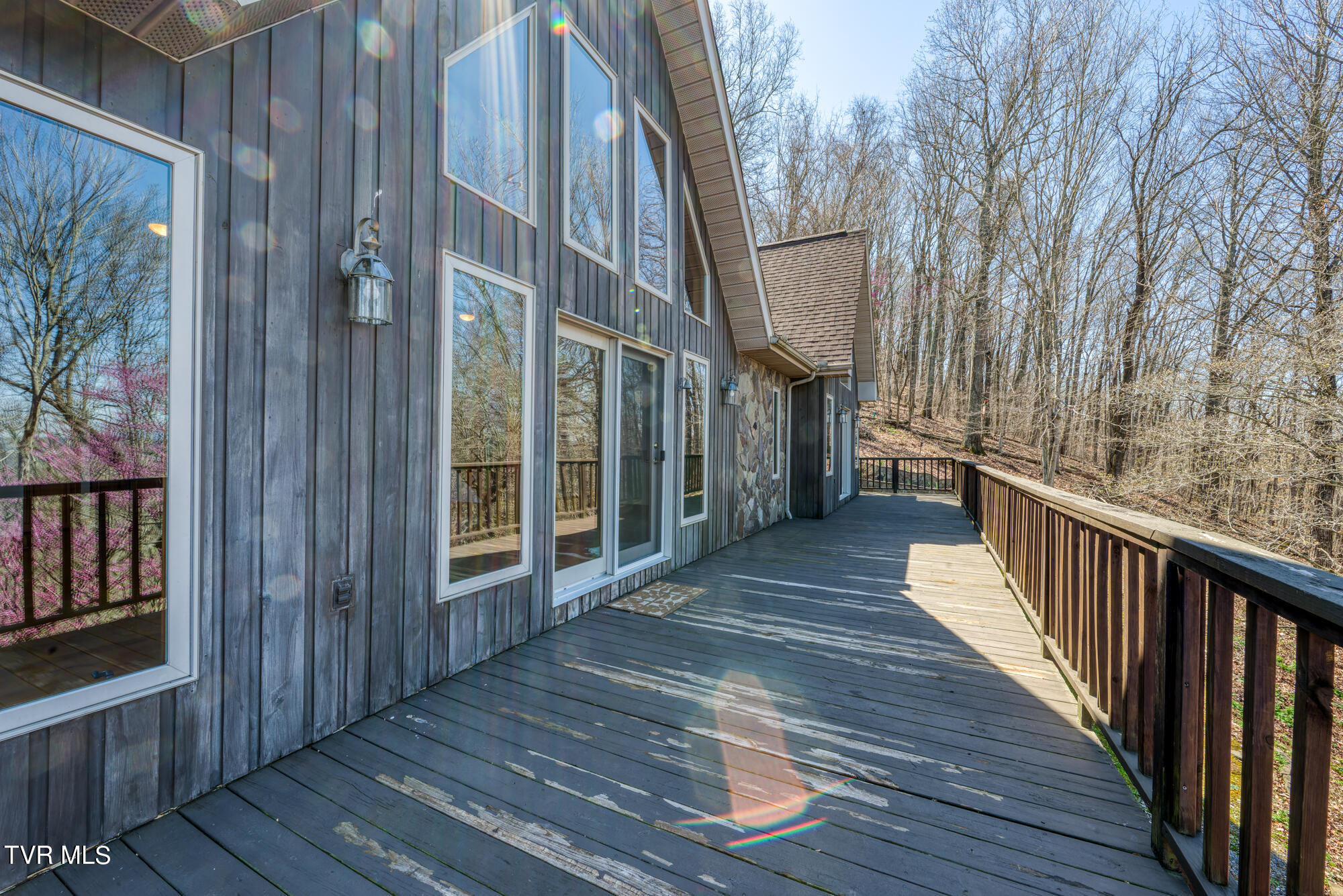 207 Buffalo Ridge Road Gray, TN 37615 - Photo 56 of 60 DSC_9445-NEF_7