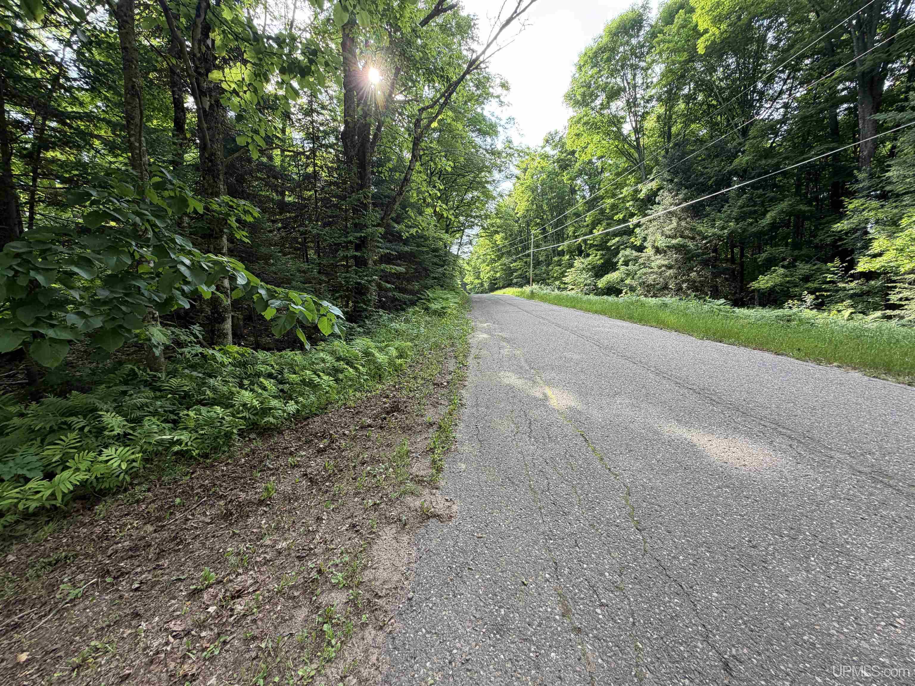 1798 Chief Lake Road Republic, MI 49879 - Photo 98 of 99