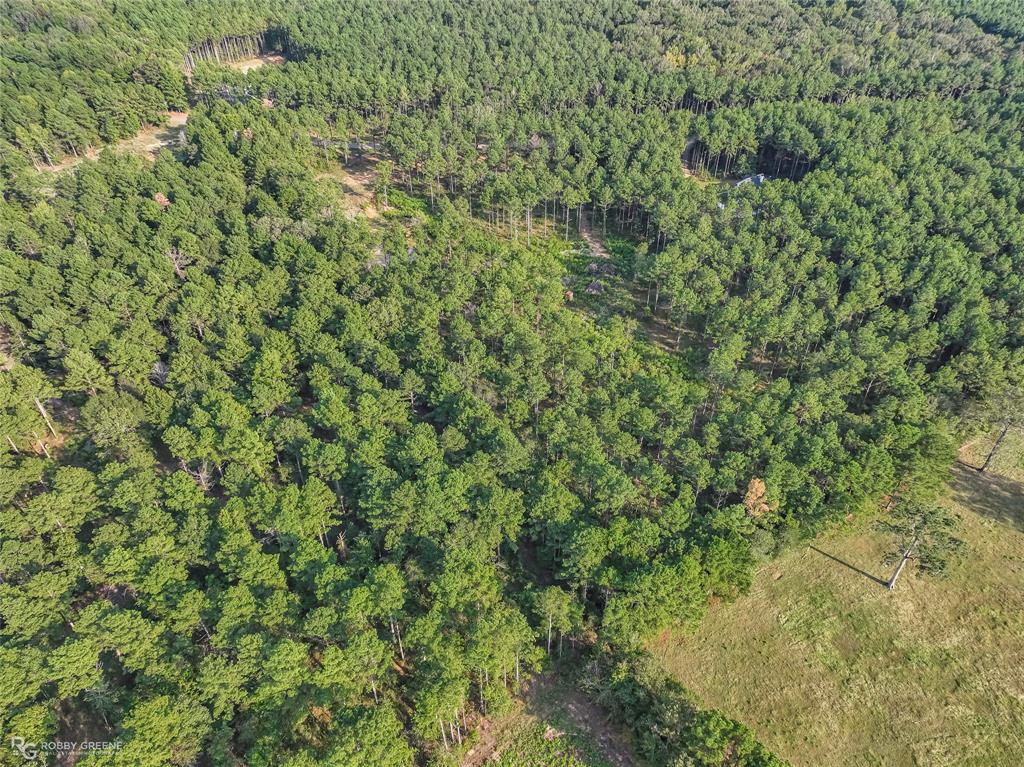 491 Cotton Valley Road Haughton, LA 71037 - Photo 10 of 17 Gallery Image 10