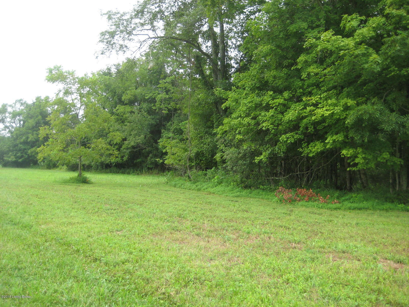 2108 Long Run Road Louisville, KY 40245 - Photo 10 of 18 2018-08-01 09.31.48