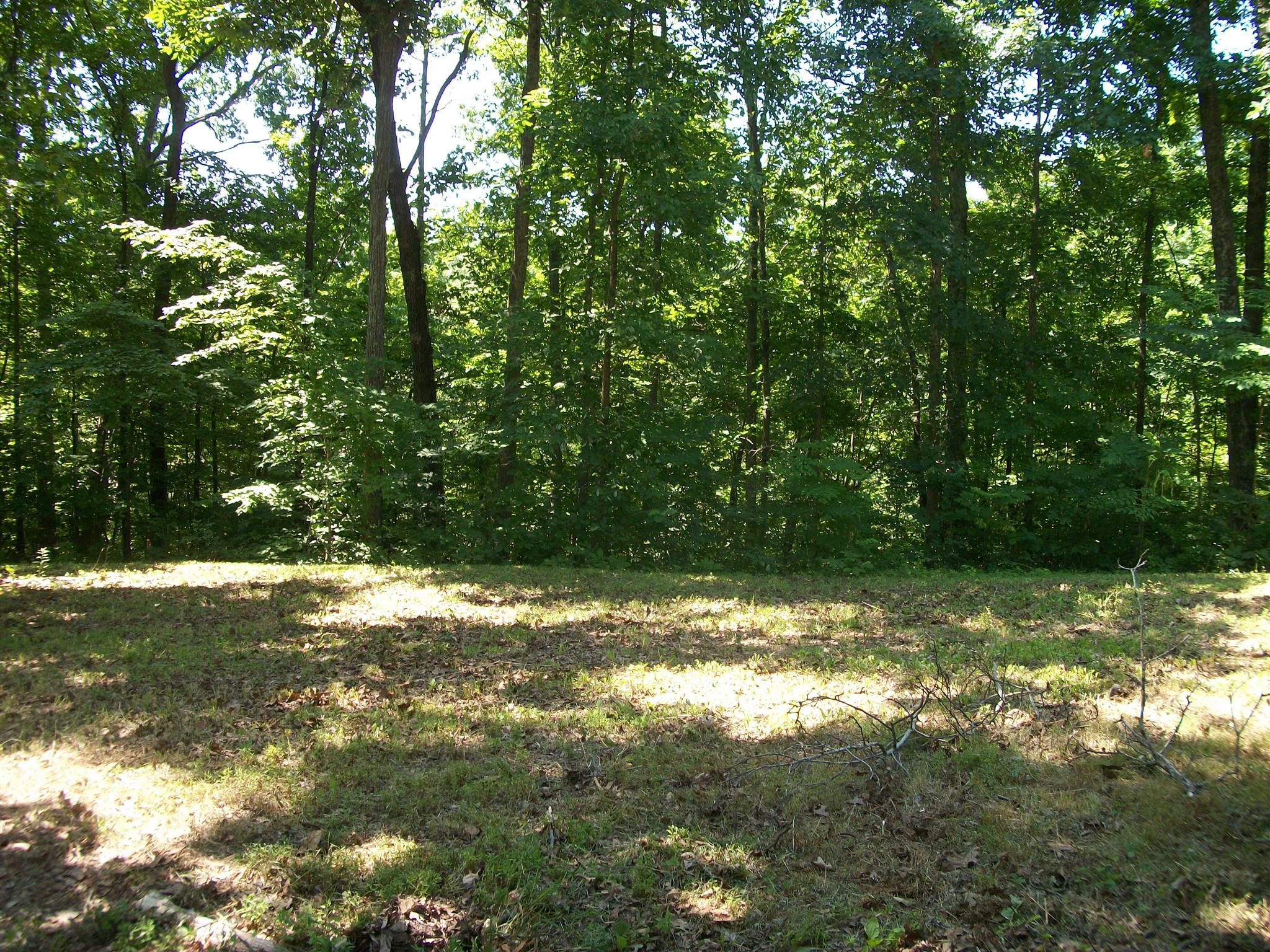 1137 Walden Ridge Road Manchester, TN 37355 - Photo 17 of 23 a view of a tree with a yard