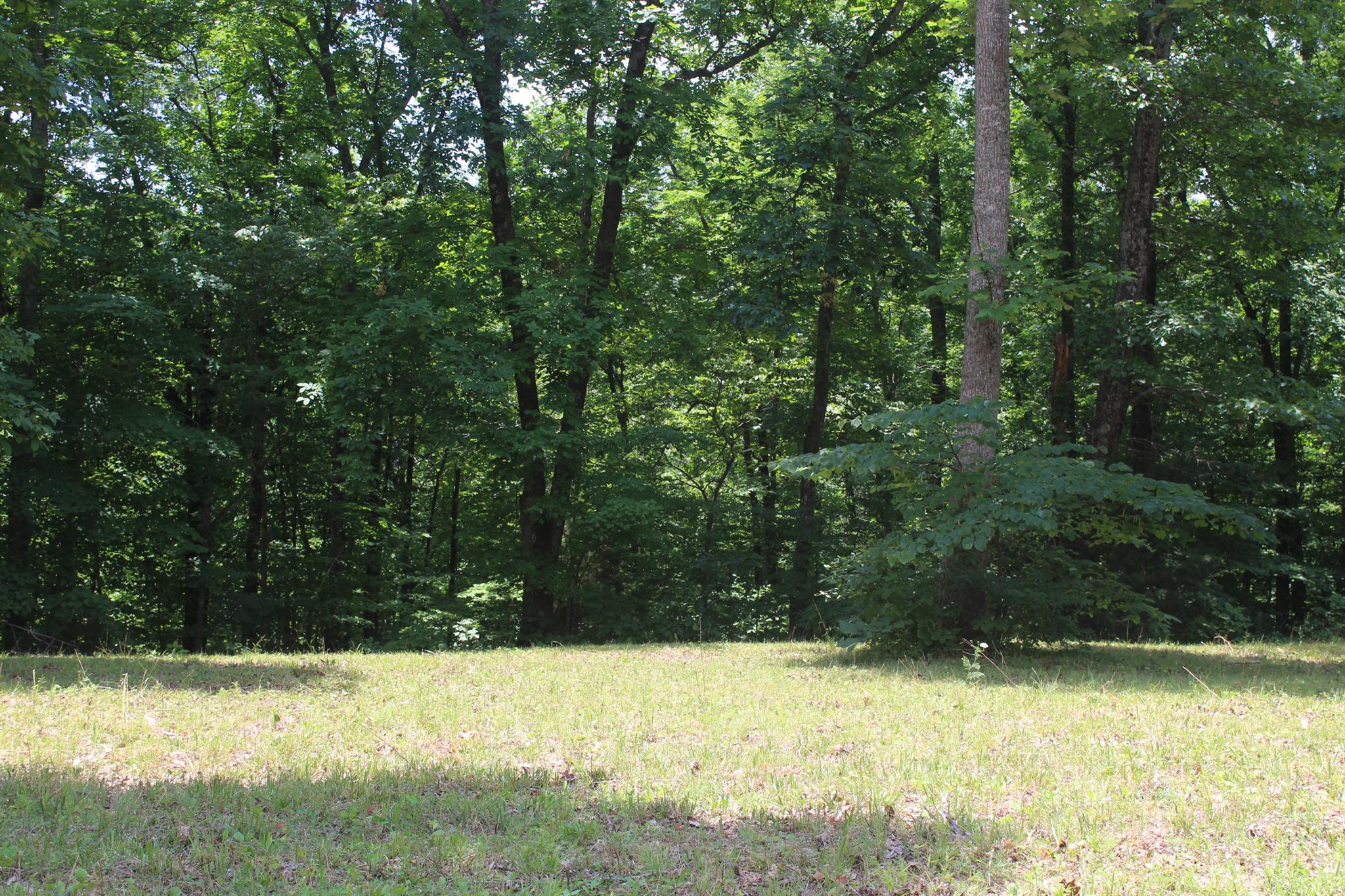 1137 Walden Ridge Road Manchester, TN 37355 - Photo 23 of 23 a view of a yard