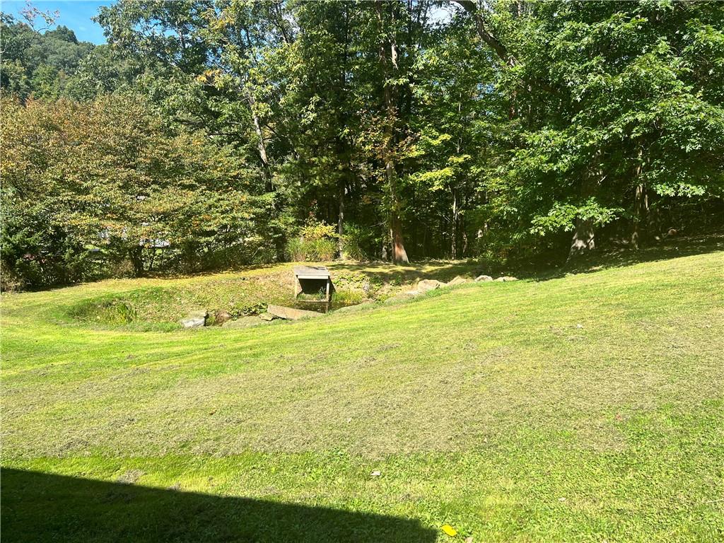 1589 Sleepy Hollow Road Indiana, PA 15701 - Photo 25 of 28