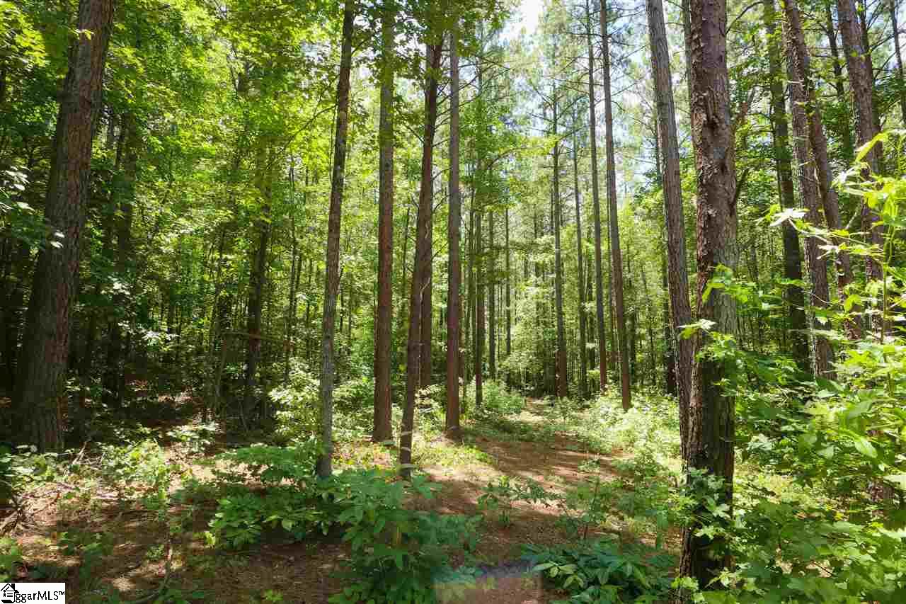 12 Belk Road Travelers Rest, SC 29690 - Photo 28 of 33 Gallery Image 28