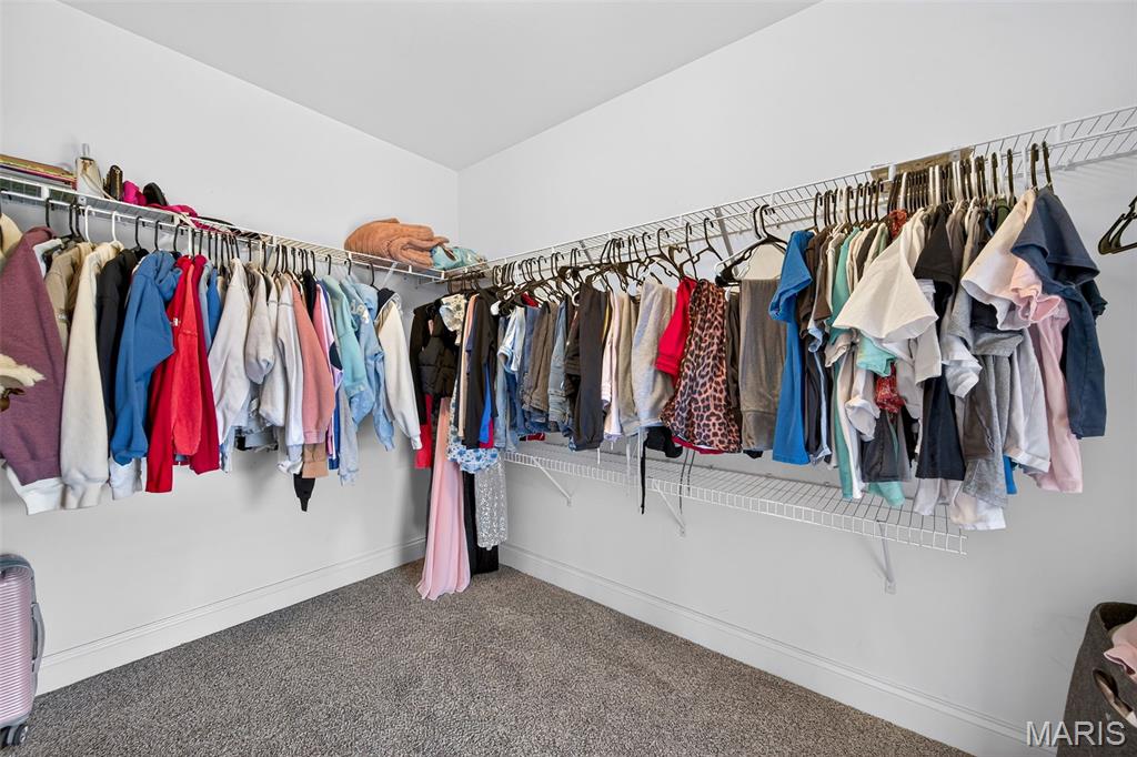 968 Ridgepointe Pl Circle Lake St. Louis, MO 63367 - Photo 30 of 43