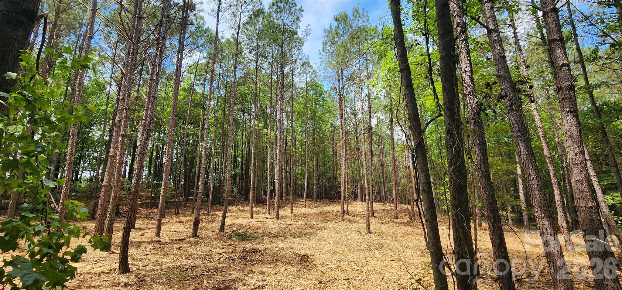 4870 Old Airport Road Winnsboro, SC 29180 - Photo 23 of 38