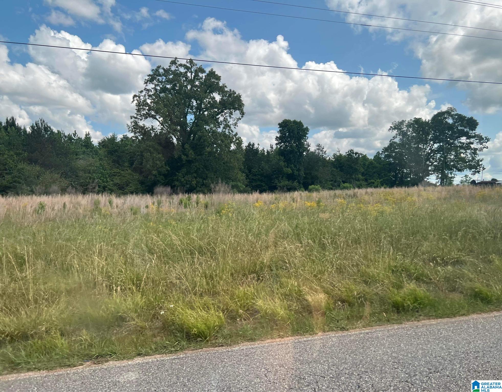 0 County Road 50 Jemison, AL 35085 - Photo 3 of 4