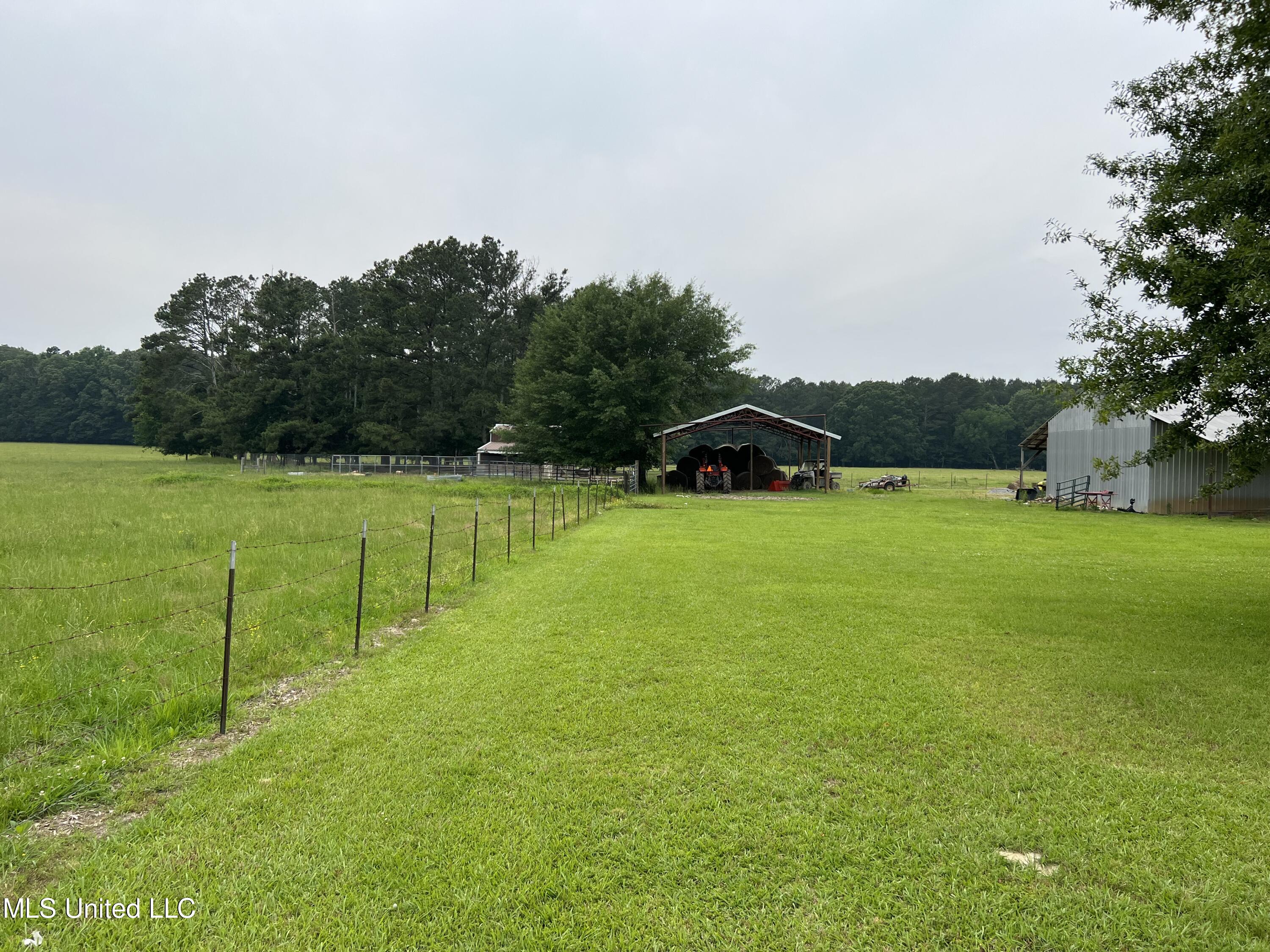 971 Denson Road Morton, MS 39117 - Photo 11 of 40 IMG_2557