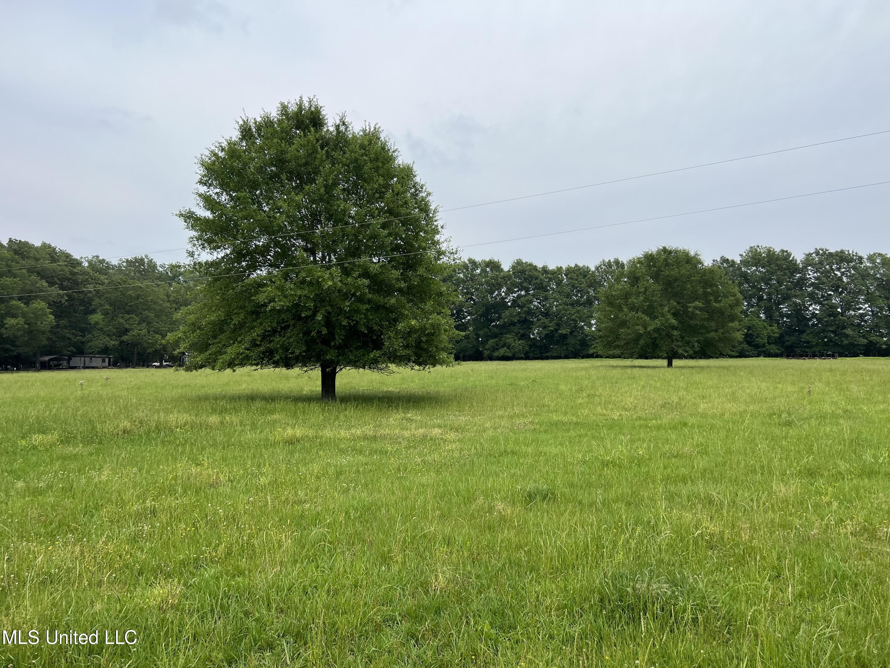 971 Denson Road Morton, MS 39117 - Photo 17 of 40 IMG_2546