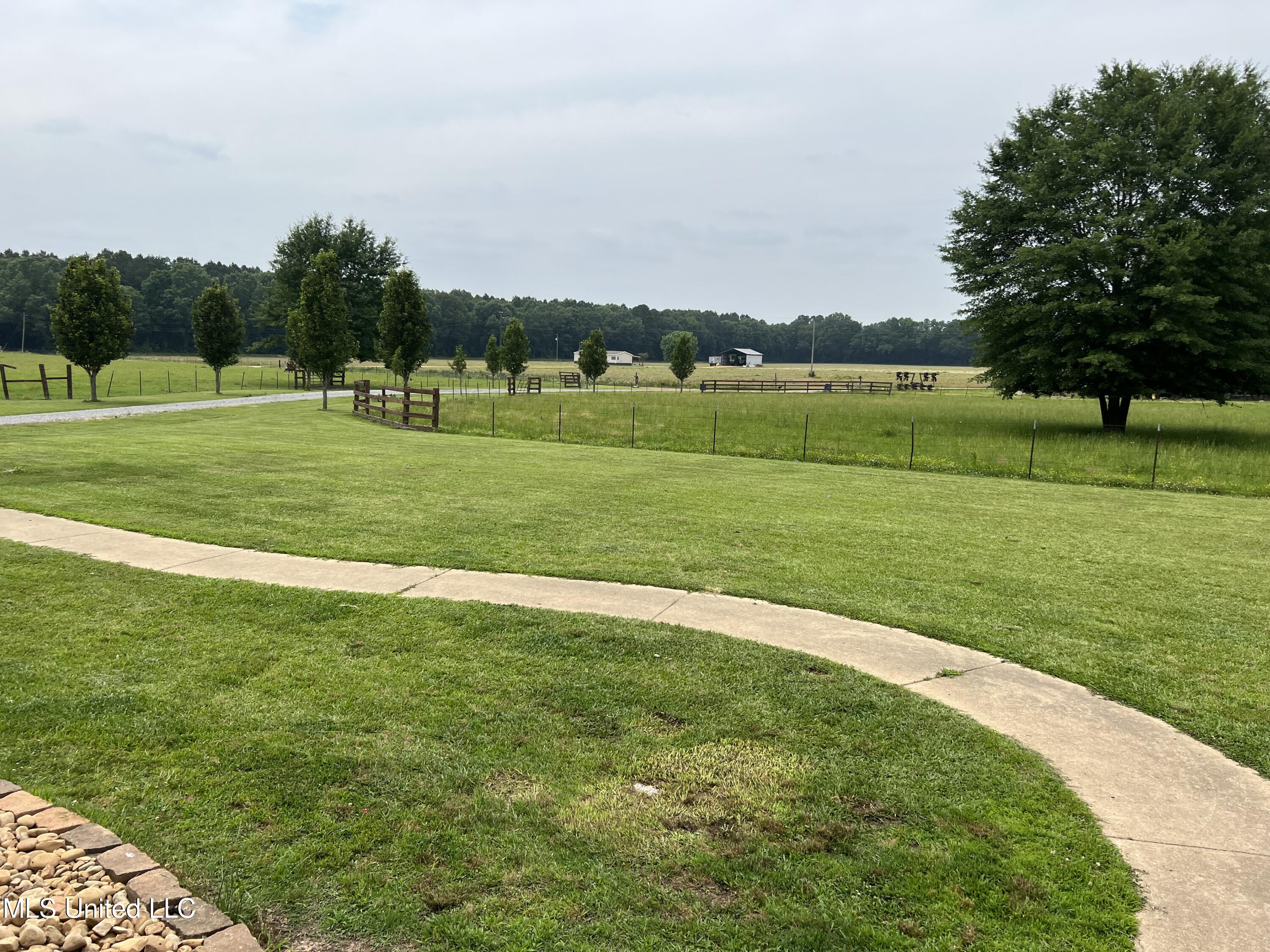 971 Denson Road Morton, MS 39117 - Photo 20 of 40 IMG_2536