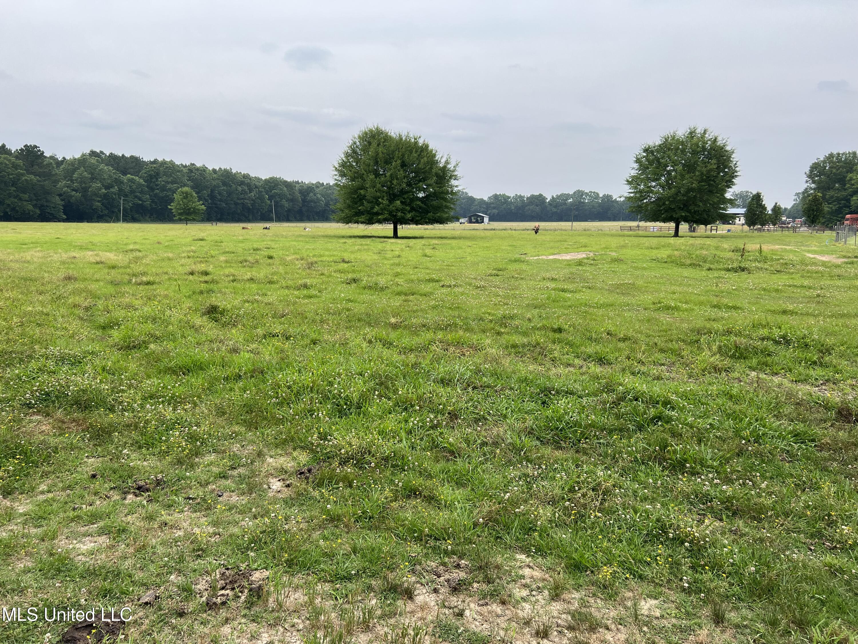 971 Denson Road Morton, MS 39117 - Photo 8 of 40 IMG_2563
