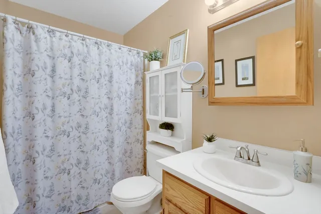 a bathroom with a sink a toilet and shower curtain